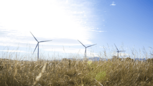 Iberdrola México construye un camino verde para la revolución energética