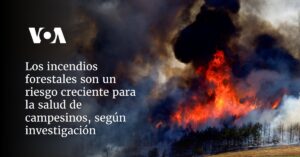 Los incendios forestales son un riesgo creciente para la salud de campesinos, según investigación