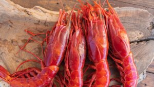 Los mejores restaurantes para comer pescado y marisco en Alicante