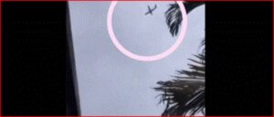 Brasil- Sao Paulo- accidente aéreo- Lula da Silva- Voepass-