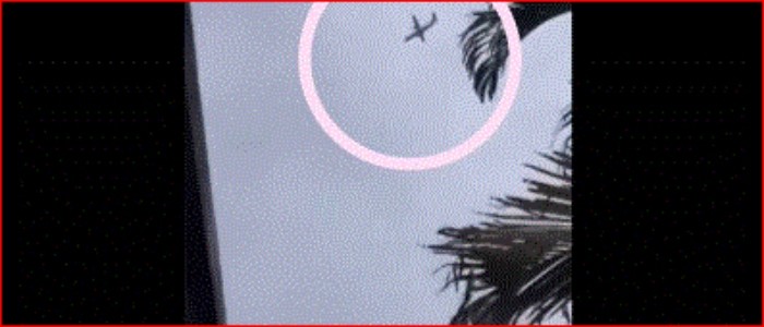 Brasil- Sao Paulo- accidente aéreo- Lula da Silva- Voepass-