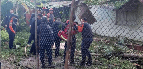 Muere un niño tras caerle un árbol encima en Anzoátegui