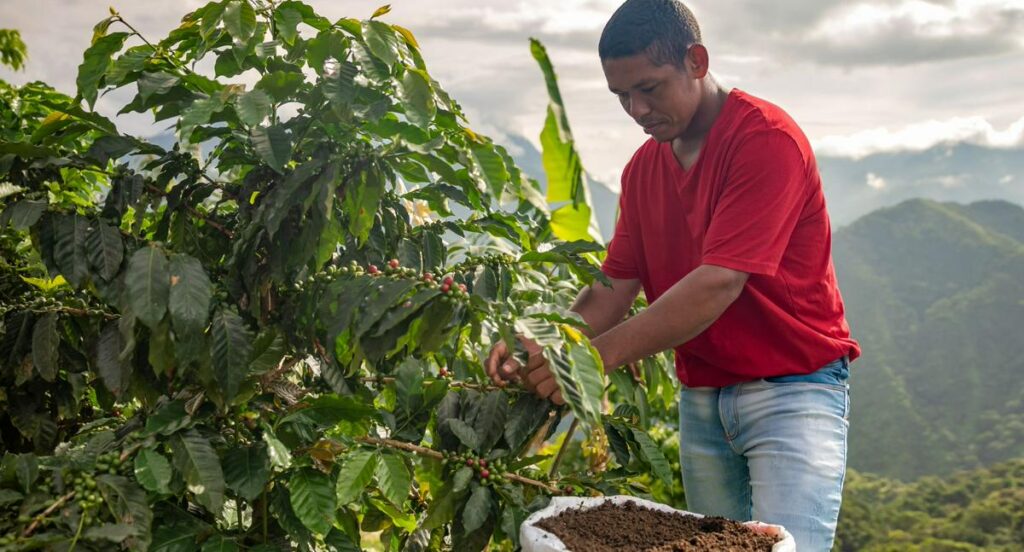 Nescafé dará buenos sueldos a cafeteros jóvenes de Colombia: pagará $1000000
