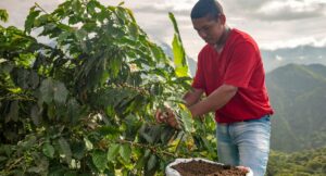 Nescafé dará buenos sueldos a cafeteros jóvenes de Colombia: pagará $1000000