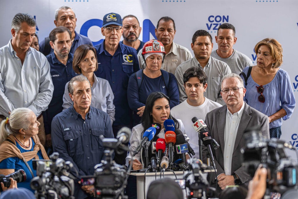 Oposición democrática ratifica que no existe una vía judicial para certificar los resultados de las presidenciales (+Video)