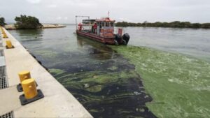 Pescadores zulianos afirman que trabajos de saneamiento para el lago no son suficientes