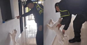 Policía enseñó a su mascota cómo actuar cuando es requerida para una requisa