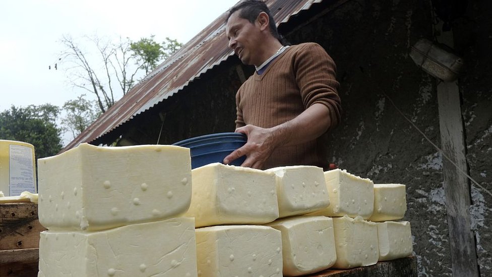 Productores de leche y quesos con dificultades por falta de transporte