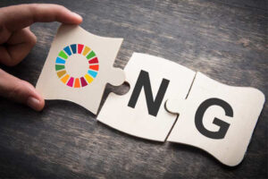 Relatora Especial ONU preocupada por reanudación de estudio de ley contra ONG