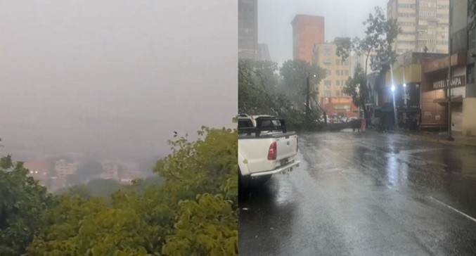 Reportan árboles caídos e inundaciones tras lluvia en Caracas 