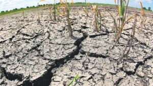 Uruguay está preparado para una próxima sequía, aseguró funcionario del Ministerio de Ambiente