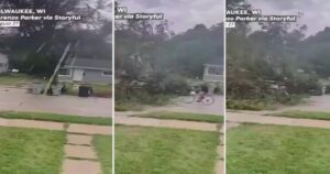 Video: iba en bicicleta en medio de un temporal, un árbol se derrumbó y casi muere aplastado