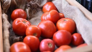 esto es lo que puedes hacer con tomates maduros según el chef José Andrés