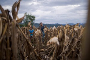 historias de pérdidas y daños entre los q’eqchi’ de Guatemala