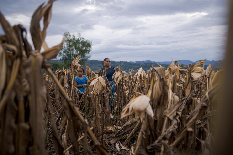 historias de pérdidas y daños entre los q’eqchi’ de Guatemala