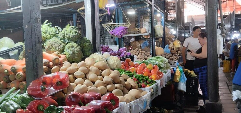 Cedice inflación junio 2024