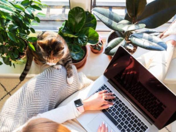 3 habilidades que debería incluir en su hoja de vida para buscar trabajo remoto | Empleo | Economía
