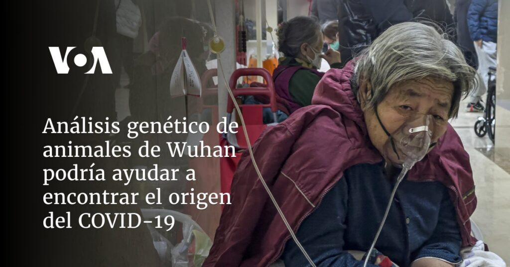 Análisis genético de animales de Wuhan podría ayudar a encontrar el origen del COVID-19