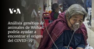Análisis genético de animales de Wuhan podría ayudar a encontrar el origen del COVID-19
