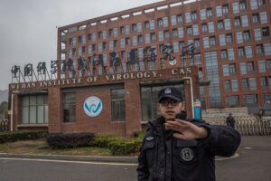 Científicos vinculan nuevamente el origen de la pandemia de covid con los animales del mercado de Wuhan - AlbertoNews
