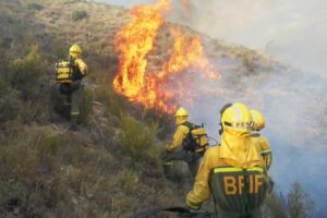 Colombia combate 31 incendios que arrasaron 11.000 hectáreas de bosque en dos semanas