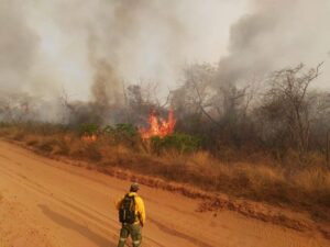 Comunidades enteras evacuan ante el peligro de los incendios en el este de Bolivia - AlbertoNews