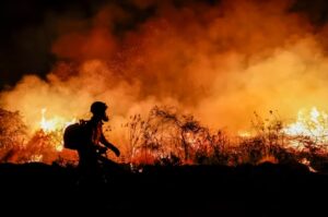 Crisis climática en Brasil: el país afronta la sequía más severa de su historia y registra un récord de incendios - AlbertoNews