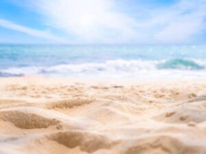 Degradación de las dunas en playas del Atlántico va en aumento, según investigación | Regiones | Economía