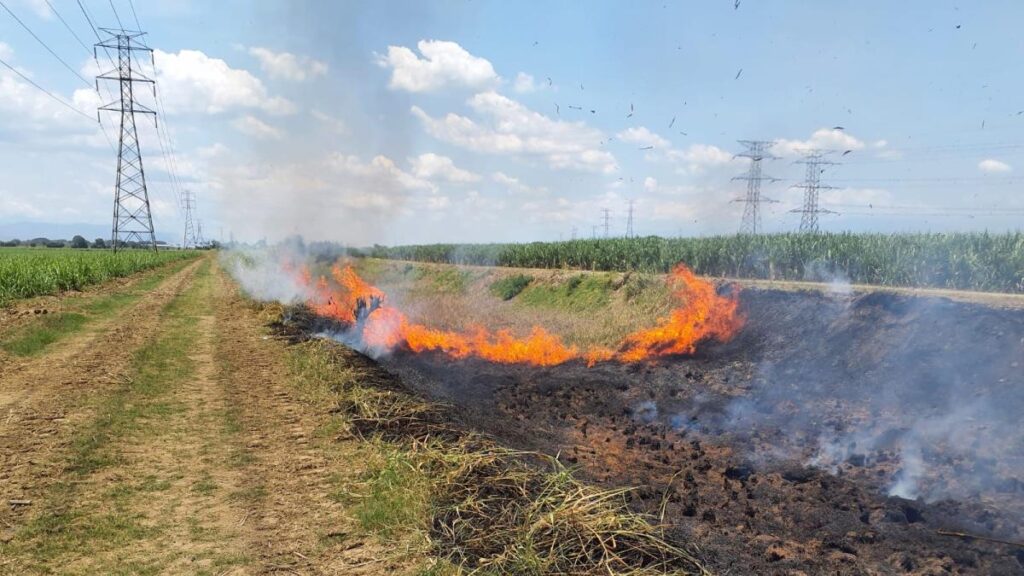 Denuncian que son más de 1.300 incendios los que se han presentado en los cultivos de caña del Valle del Cauca