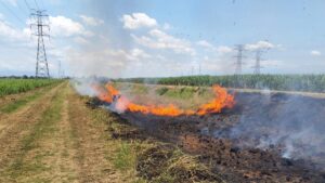 Denuncian que son más de 1.300 incendios los que se han presentado en los cultivos de caña del Valle del Cauca