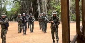 Detenido hombre que portaba un arma de fuego sin documentación