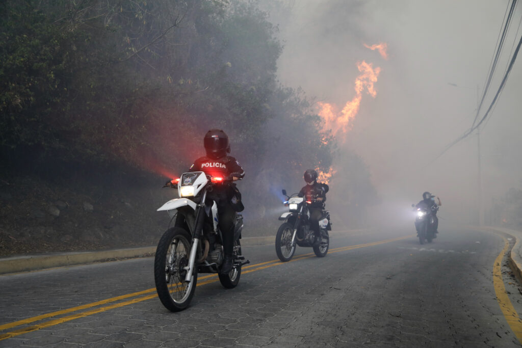 Dictan prisión preventiva para un joven presuntamente relacionado con un incendio forestal en Quito - AlbertoNews