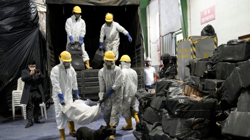 Ecuador incauta hasta septiembre 204 toneladas de droga, cerca del promedio de los últimos tres años