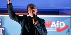 El auge de Alternativa para Alemania llega a Brandemburgo