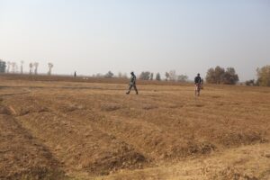 El aumento de las temperaturas devasta un paraíso agrícola en Cachemira