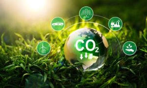 El cero neto para 2050 retrasa la necesaria acción climática urgente