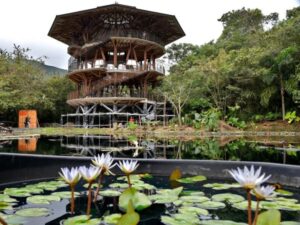 El jardín Botánico de Cali, el lugar donde se cuida el "oro verde" de Colombia | Regiones | Economía