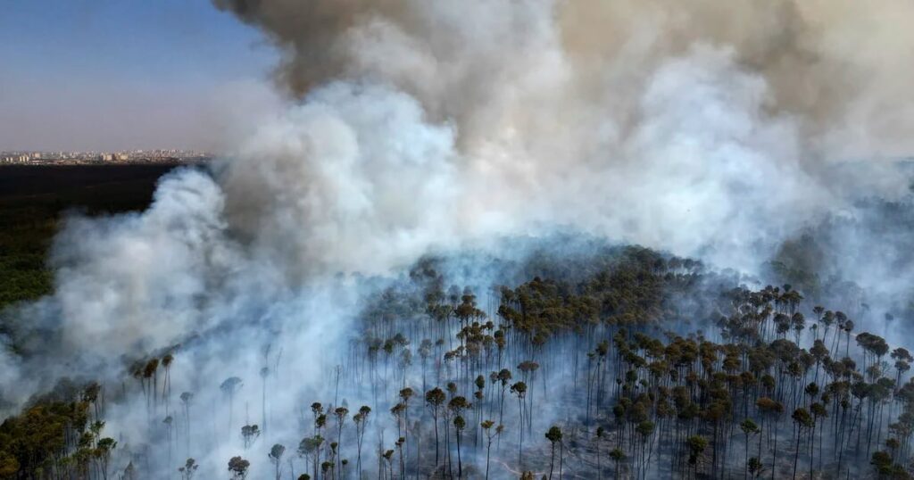 Emergencia climática y falta de prevención: las causas de la sequía que está provocando incendios y contaminando el aire en Brasil