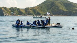 Emotiva liberación de tres delfines en las playas de Santa Marta, uno de ellos en estado de gestación