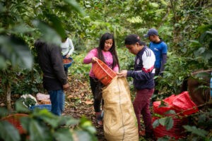 Enfrentar el cambio climático será una victoria pírrica si dejamos de lado a los pobres