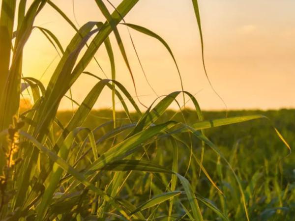 Estos son los avances tecnológicos de Precisagro para la agricultura | Agro | Economía