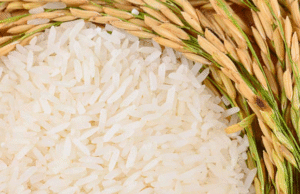 Fevearroz aspira aumento de la producción nacional de arroz
