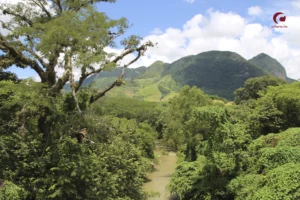 Honduras, país más peligroso para defensores medioambientales, con 18 asesinatos en 2023 - AlbertoNews