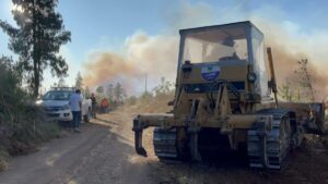 Incendios arrasan con casi 9.000 hectáreas forestales en Ecuador