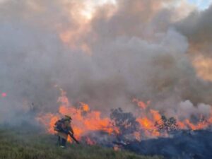 Incendios en Colombia: incendios registrados y hectáreas afectadas durante septiembre del 2024 | Regiones | Economía
