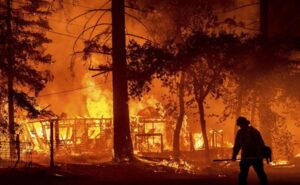 Incendios forestales en Brasil provocan mayor nivel de emisiones de carbono en dos décadas - AlbertoNews