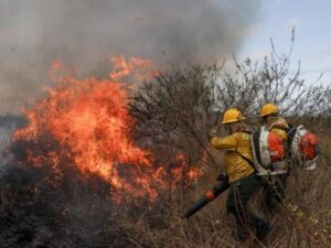Incendios forestales sen Colombia: ya son 29 focos activos, según la UNGR | Regiones | Economía