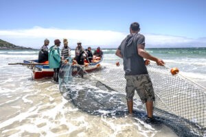 La FAO propone invertir más y gestionar mejor la pesca en el mundo
