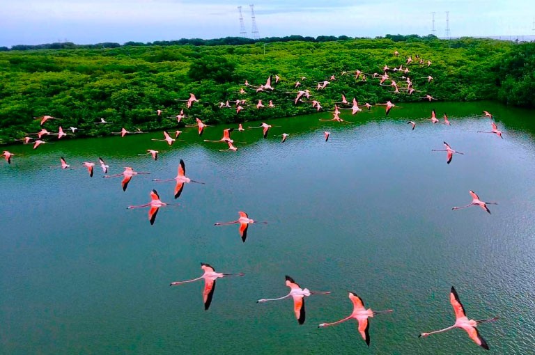 La Laguna de las Peonías declarada ruta de interés turístico nacional