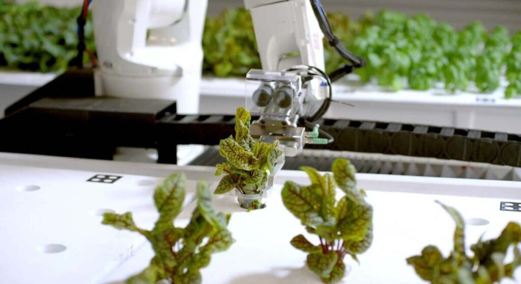La empresa catalana Enkitek diseña un robot para recoger fruta y verdura con IA y 3D